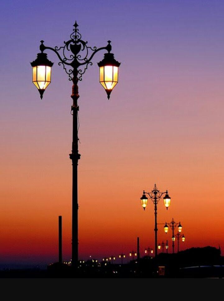 Picture100