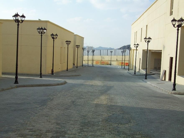 Picture14