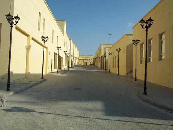 Picture15