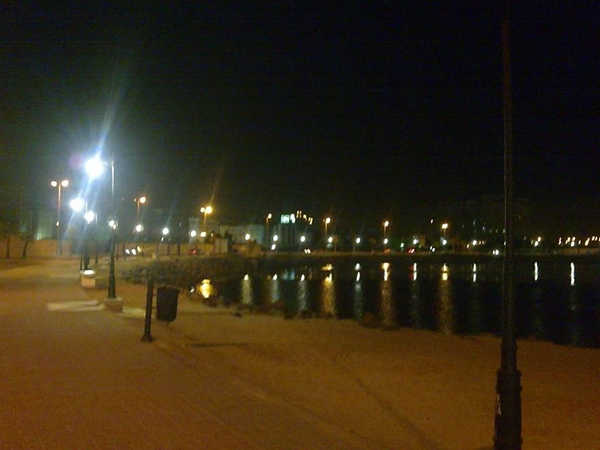 Picture19