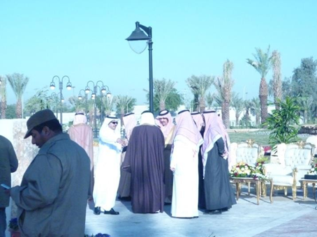 Picture6