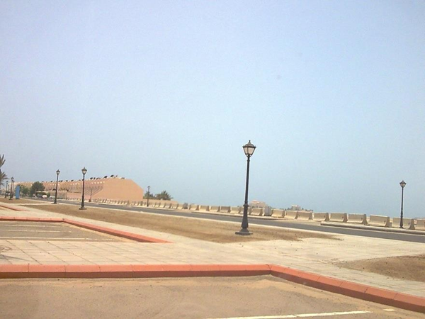 Picture8