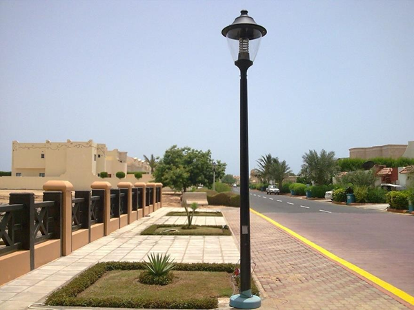 Picture9